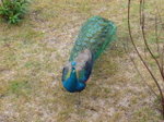 Photo_3