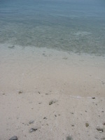 Photo_5